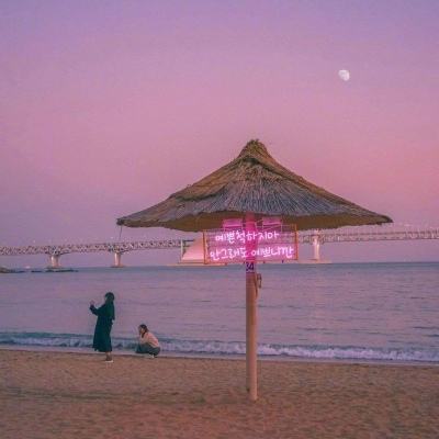 加拿大pc软件平台